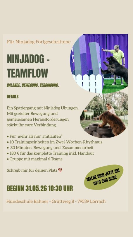 Socialwalk etwas anders